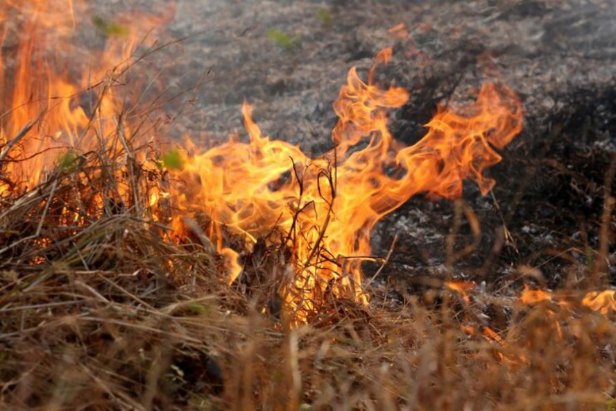 МЧС предупредило тамбовчан об установлении высокой пожароопасности