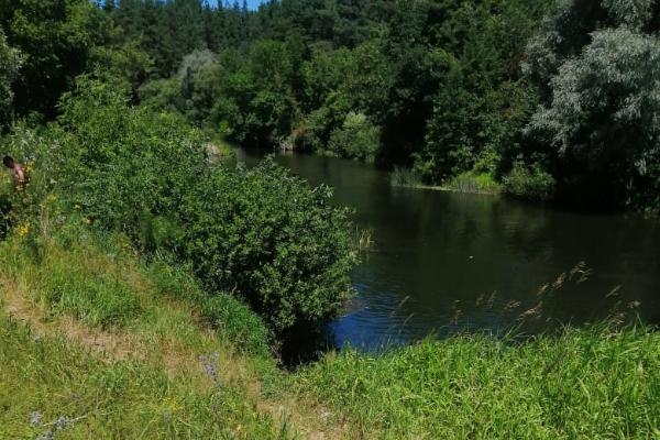 В Уварово на берегу реки подростки нашли тело мужчины