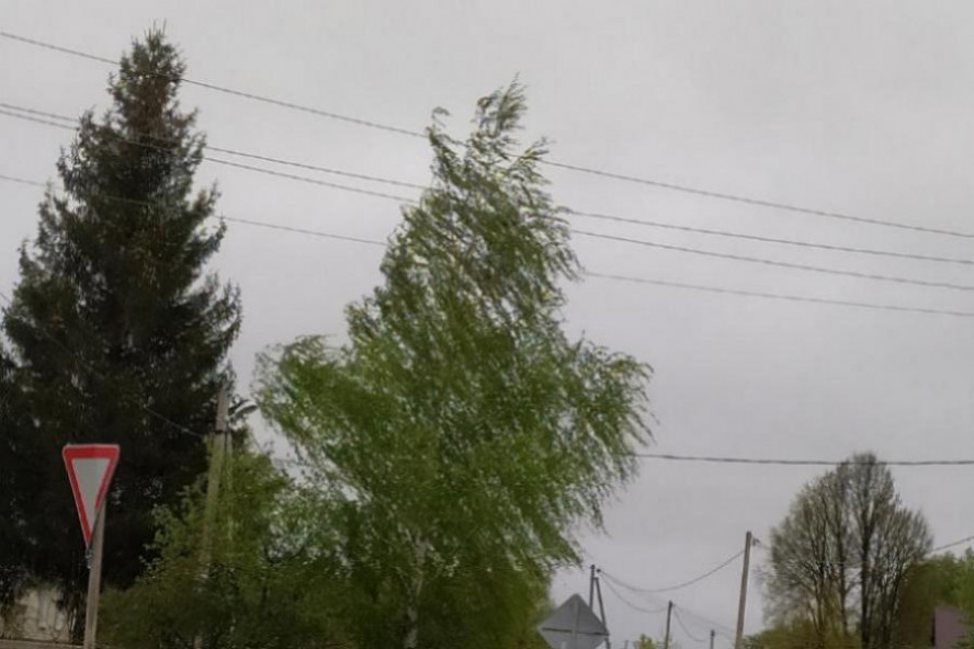 МЧС предупредило тамбовчан о сильном ветре 9 мая