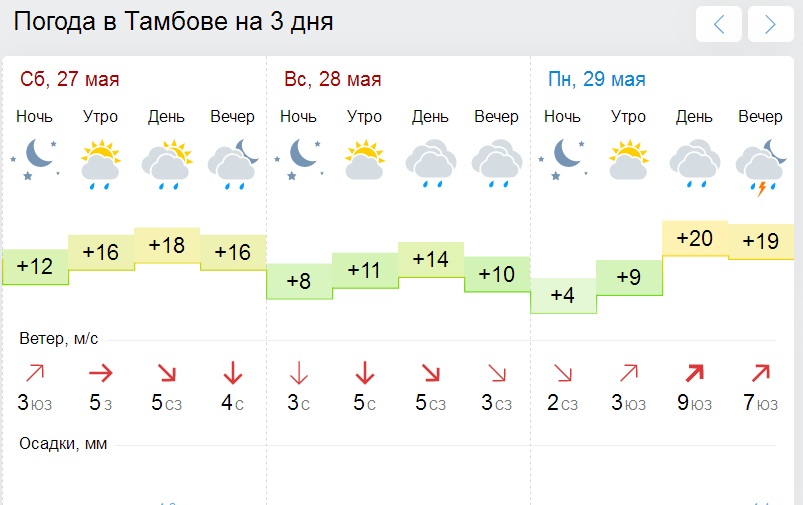 Прогноз погоды мичуринск по часам. Погода в Тамбове. Погода в Тамбове сегодня. Погода на май в Тамбове. Погода в Тамбове на завтра.