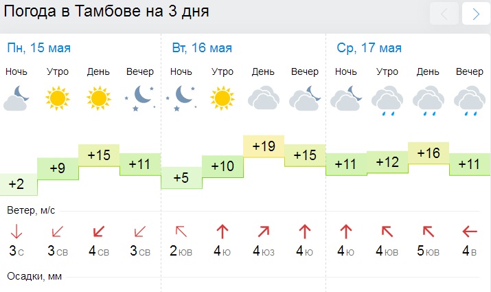 Рп 5 бугуруслан. Погода в Тамбове. Погода в Тамбове сегодня. Рп5 Тамбов. Погода в Казани на неделю.