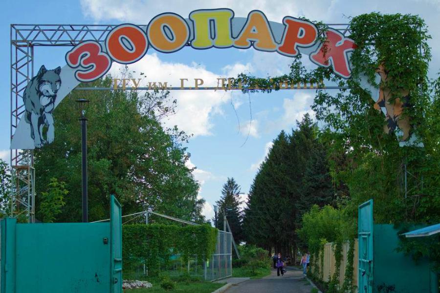 В Тамбове закрылся единственный зоопарк