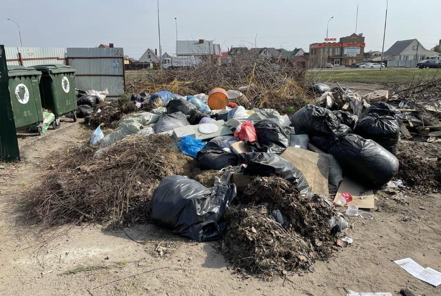 Северная часть Тамбова и Тамбовский район утопает в мусоре