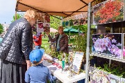 DSC_8105.jpg