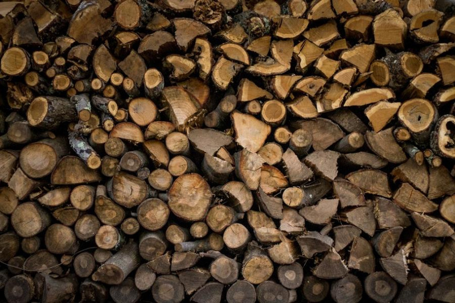 Жители Мучкапского похитили дубовые дрова и стиральную машину