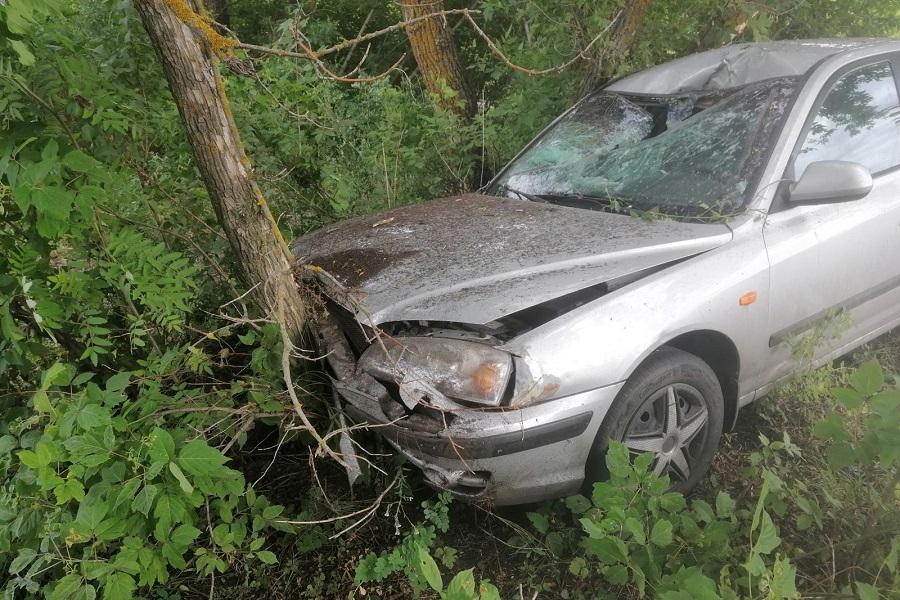 В Инжавинском районе водитель легковушки погиб после столкновения с деревом