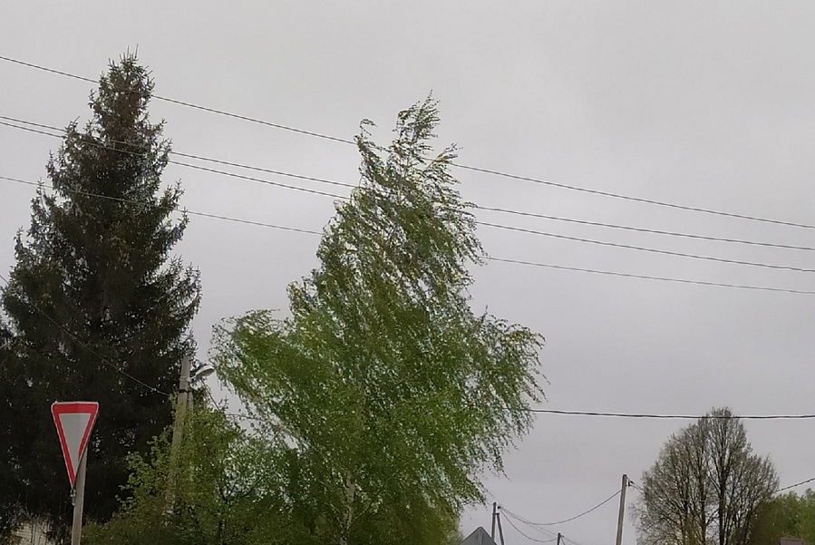 В ближайшие часы в Тамбовской области ожидаются грозы и сильный ветер