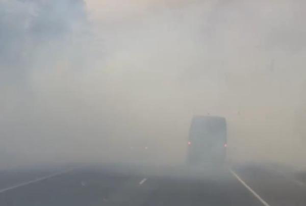 В Рассказовском районе трассу заволокло дымом из-за горящего камыша