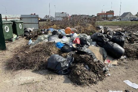 Северная часть Тамбова и Тамбовский район утопает в мусоре