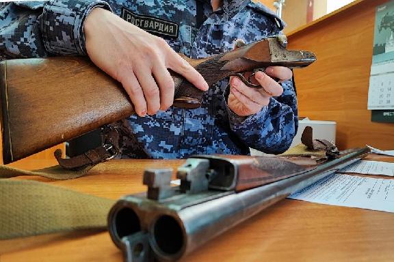 В Тамбовской области изъято 10 единиц оружия
