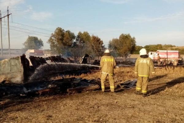 На животноводческой ферме под Тамбовом случился крупный пожар