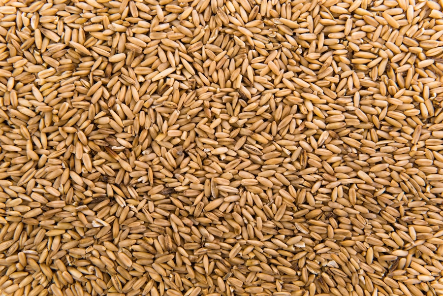 В Рассказовском районе работники сельхозпредприятия украли тонну зерна пшеницы