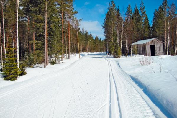  В Тамбовской области благоустроили лыжную трассу