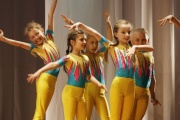 В Тамбове прошел фестиваль спортивных танцев, художественной гимнастики и аэробики