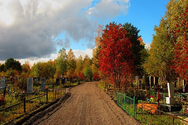 Жители Бондарского района снова просят отремонтировать дорогу к кладбищу