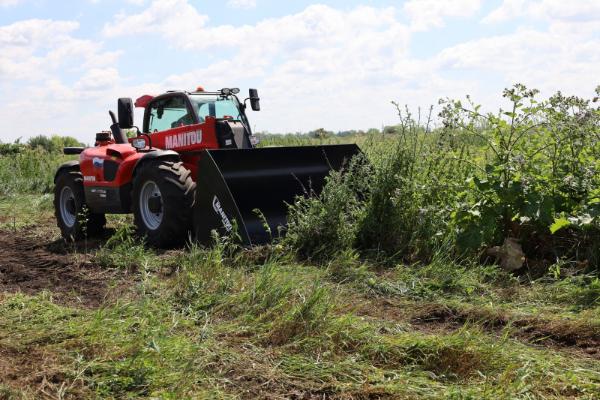 В Знаменском районе уничтожили три тонны конопли