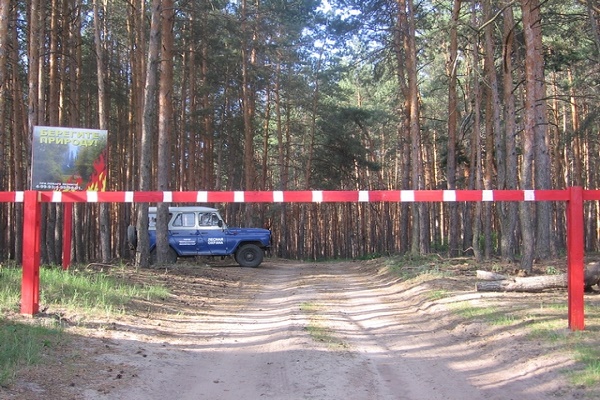 В Тамбовской области введено ограничение на пребывание в лесах