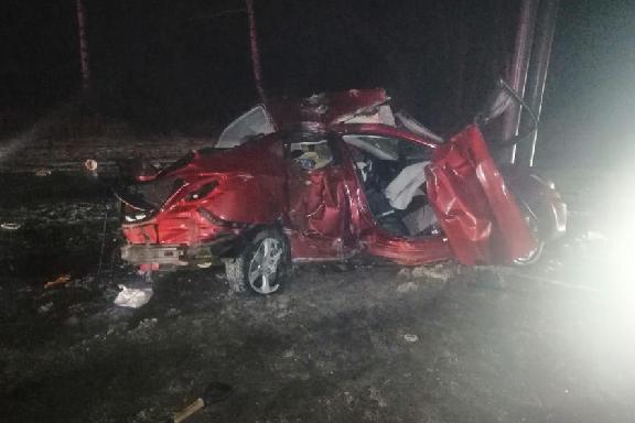 В Тамбовской области водитель "Hyundai" погиб, врезавшись в столб
