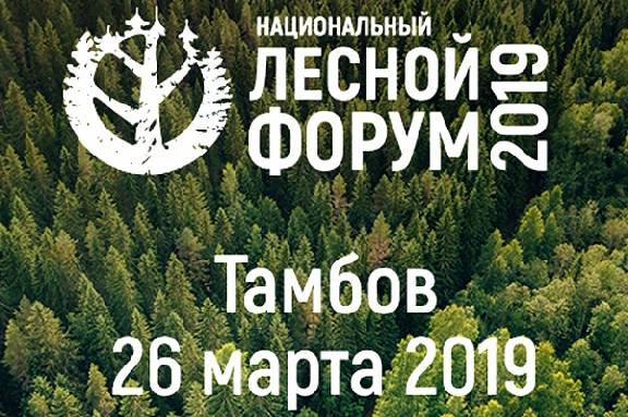 В Тамбове на базе ТГУ пройдёт один из этапов Национального лесного форума