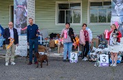 DSCF8987.jpg