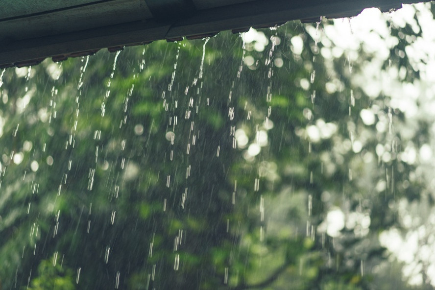 Первые выходные июля в Тамбове будут пасмурными и дождливыми