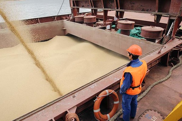 Россия приостановит экспорт зерновых и сахара в страны Евразийского экономического союза