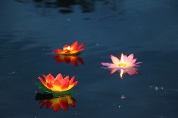 IMG_3519.JPG