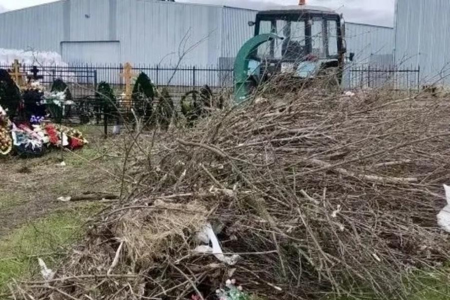 В Тамбовском округе определили места для складирования древесно-растительных отходов