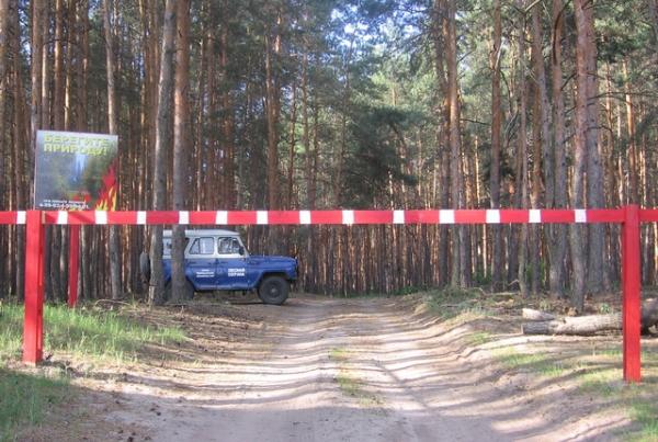 Леса в Тамбовской области продолжают усиленно патрулировать