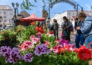 DSC_8218.jpg