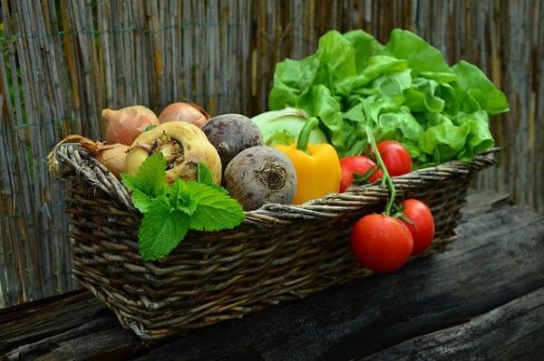 Россиянам для профилактики онкологии советуют есть несколько килограммов овощей в неделю