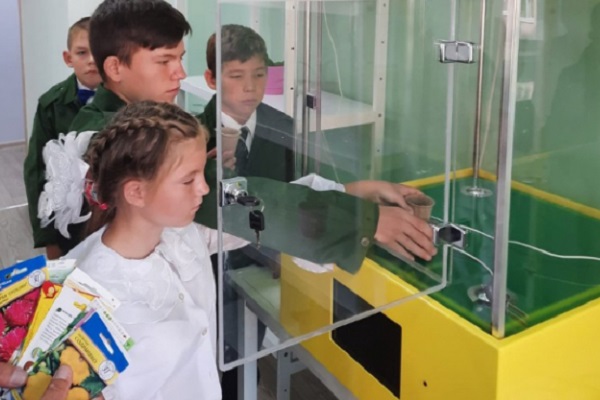 Две коррекционные школы Тамбовской области стали лауреатами Всероссийского конкурса