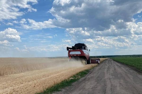 В Тамбовской области начали уборку зерновых культур