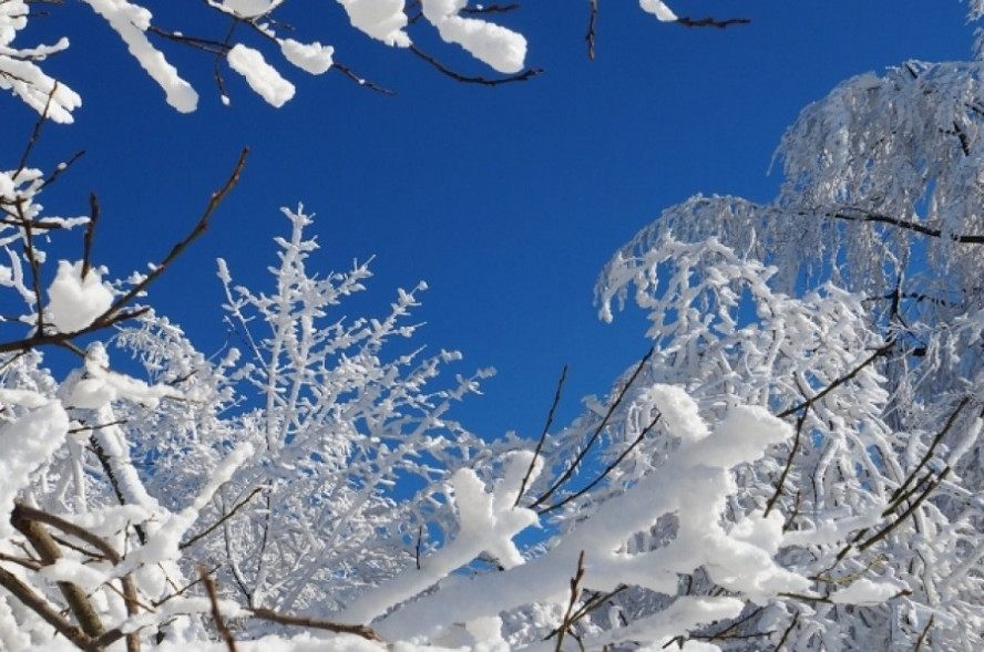В Тамбовской области 11 января сохранится аномально холодная погода