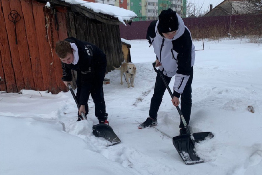 Волонтёры "Снежного десанта" помогли более 4 тысячам тамбовчан преклонного возраста