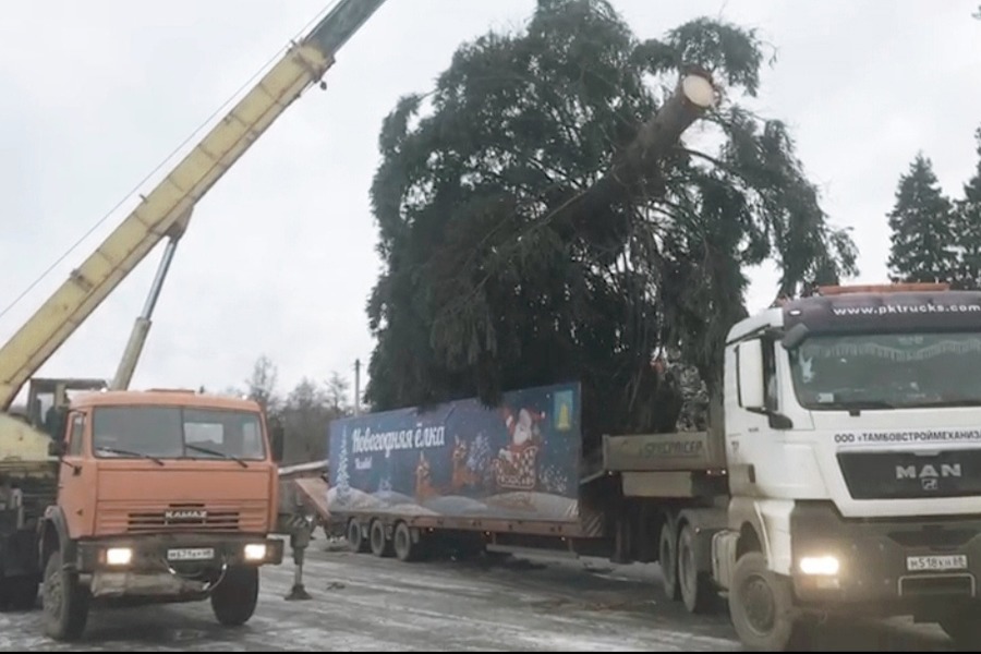 Главная новогодняя елка Тамбовской области будет приносить пользу людям
