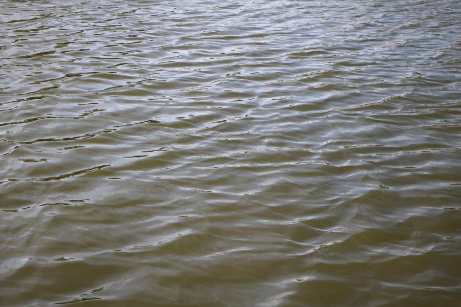 В водоёме в Покрово-Пригородном утонул мужчина