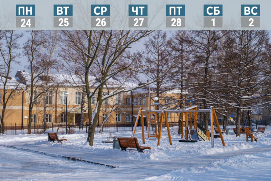 Обзор за неделю: трагическая гибель ученика лицея № 14, новый главный тренер ХК "Тамбов", подтопление подвалов многоэтажки на Агапкина
