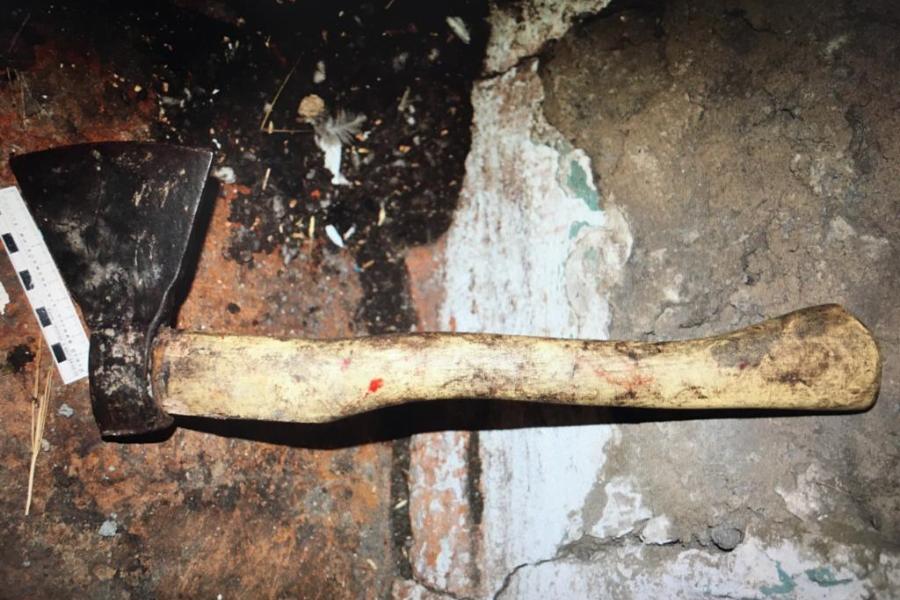 В Мордовском районе 23-летняя девушка убила мать кочергой и топором
