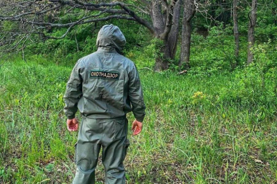 Беспилотники помогают тамбовским охотинспекторам следить за дикими животными