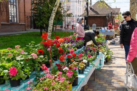 В Тамбове проходит городской Фестиваль цветов