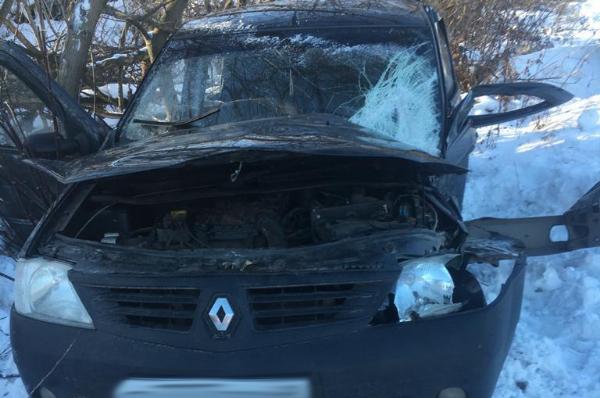 В Мордово столкнулись "Рено" и грузовик: двое пострадали
