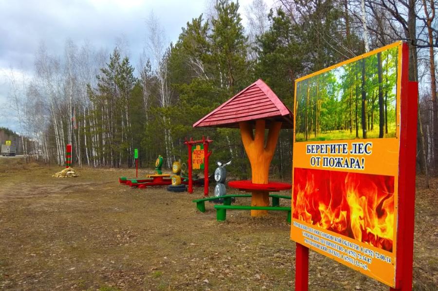В Тамбовской области объявлено о начале пожароопасного сезона