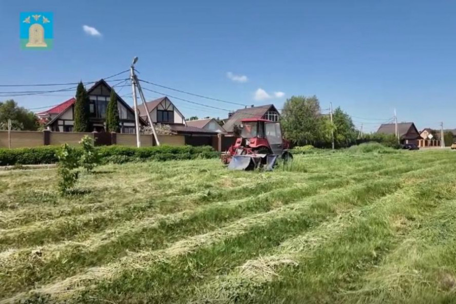 Тамбов приводят в порядок: в городе активно косят траву и убирают сорняки