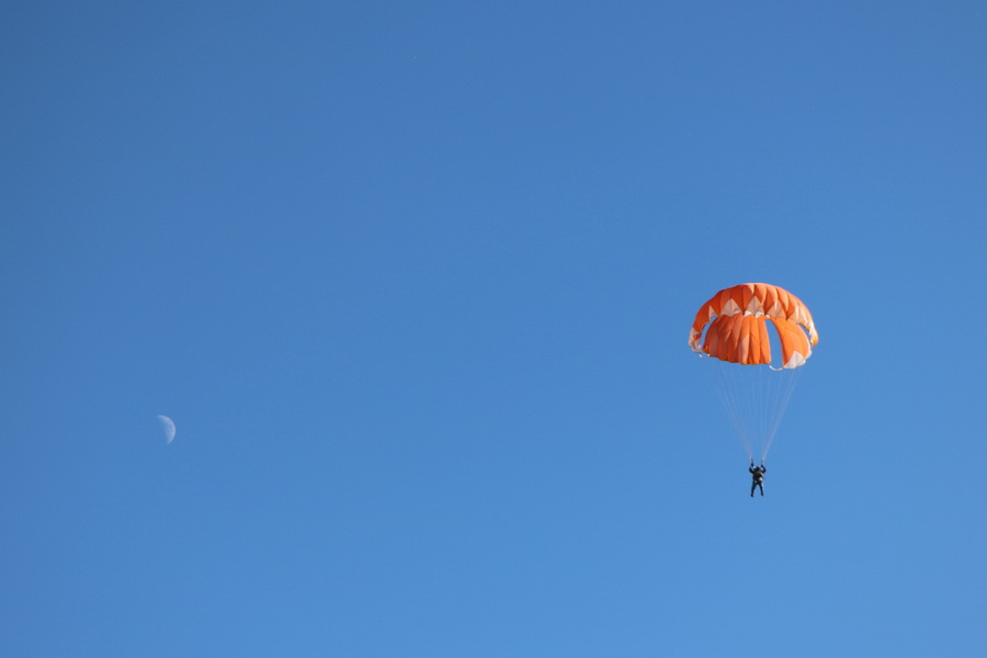"Это что-то невероятное": тамбовчане отпраздновали День парашютистов в небе