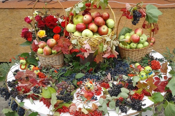 В музее-заповеднике "Ивановка" пройдет "День яблока"