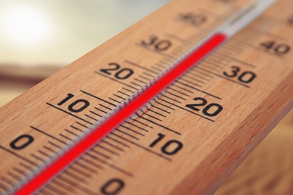 В Тамбовской области ожидается аномальная жара