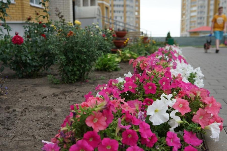Тамбовчан приглашают поучаствовать в конкурсе по украшению и благоустройству дворов