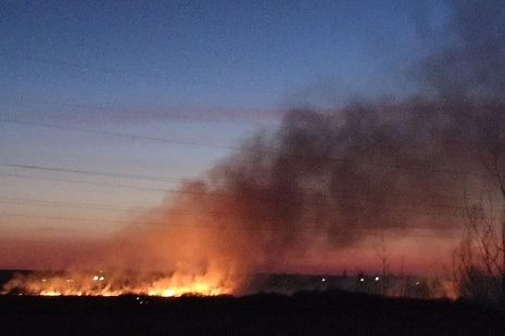 Из-за пожара в Тамбовском районе выгорел Татарский вал