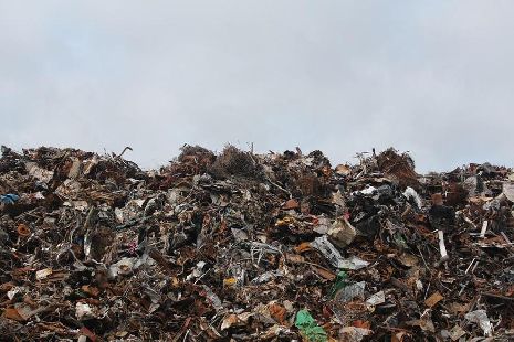 В Знаменском районе стихийная свалка загрязняет почву тяжёлыми металлами